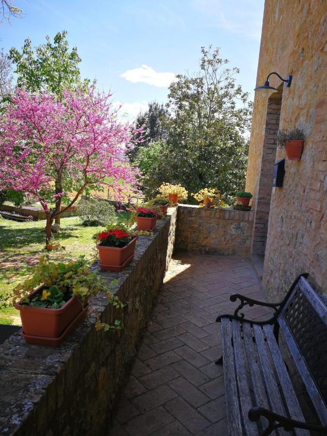 Malignano Claudia Vacanza Toscana - Appartamento Nocciolo- 10 Min Da Siena מראה חיצוני תמונה
